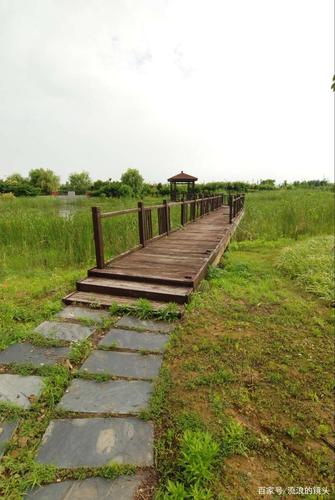 漕湖湿地公园周长?(漕湖湿地公园收费吗)-图3 漕湖湿地公园周长?(漕湖湿地公园收费吗)-图3