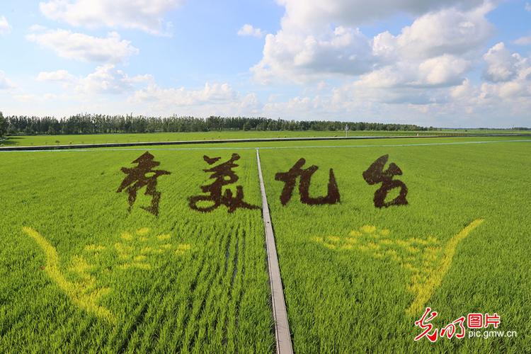 长春至九台其塔木票价？(长春到九台不收费)