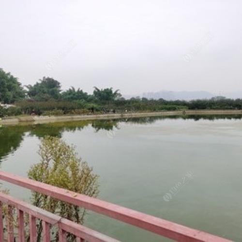 重庆大渡口钓小龙虾的地方？(大渡口区收费钓鱼)