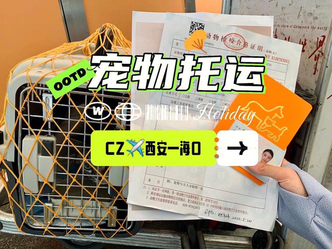 南航托运宠物费用？(东航托运动物怎么收费)
