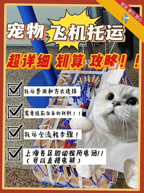 南航托运宠物费用?(东航托运动物怎么收费)-图3 南航托运宠物费用?(东航托运动物怎么收费)-图3