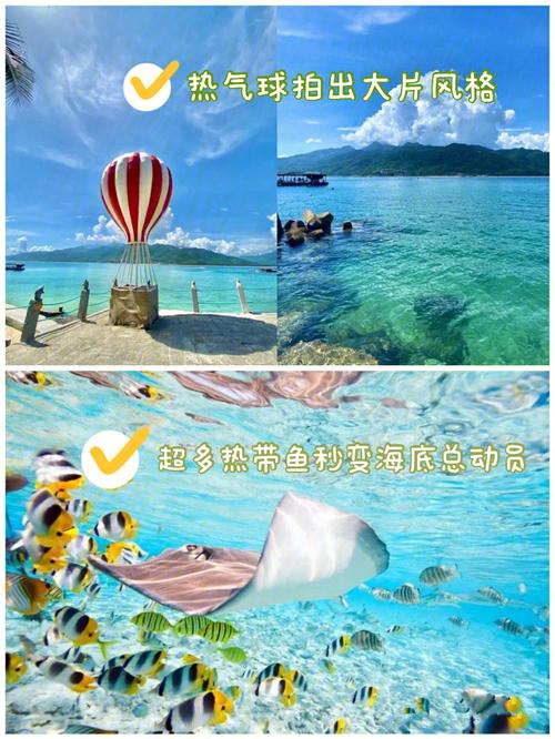 分界洲岛带孩子怎么玩?(分界洲岛游泳收费)-图3 分界洲岛带孩子怎么玩?(分界洲岛游泳收费)-图3