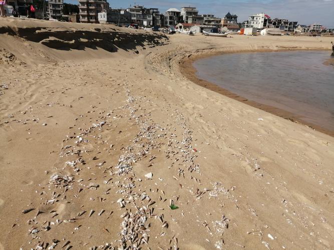 平海黄金沙滩退潮时间?(海阳的沙滩收费吗)-图1 平海黄金沙滩退潮时间?(海阳的沙滩收费吗)-图1