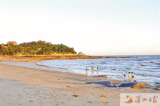 平海黄金沙滩退潮时间?(海阳的沙滩收费吗)-图3 平海黄金沙滩退潮时间?(海阳的沙滩收费吗)-图3