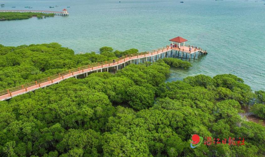 红树林海滨公园停车场怎么收费?(红树林收费标准)-图3 红树林海滨公园停车场怎么收费?(红树林收费标准)-图3