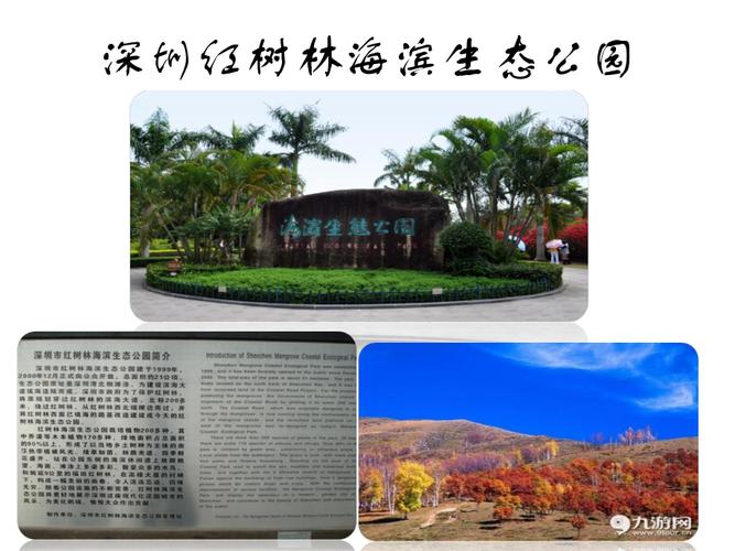 红树林海滨公园停车场怎么收费?(红树林收费标准)-图2 红树林海滨公园停车场怎么收费?(红树林收费标准)-图2