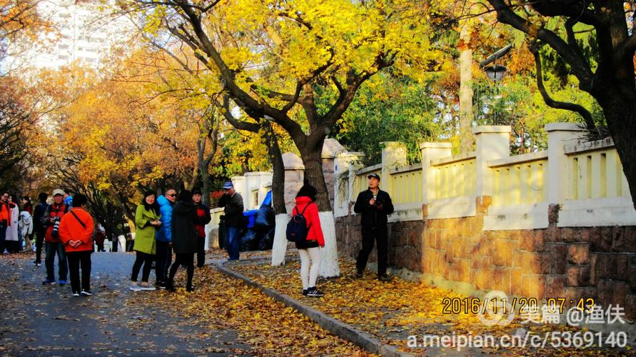 青岛自驾游一天停车方便吗?(八大关风景区停车收费)-图3 青岛自驾游一天停车方便吗?(八大关风景区停车收费)-图3