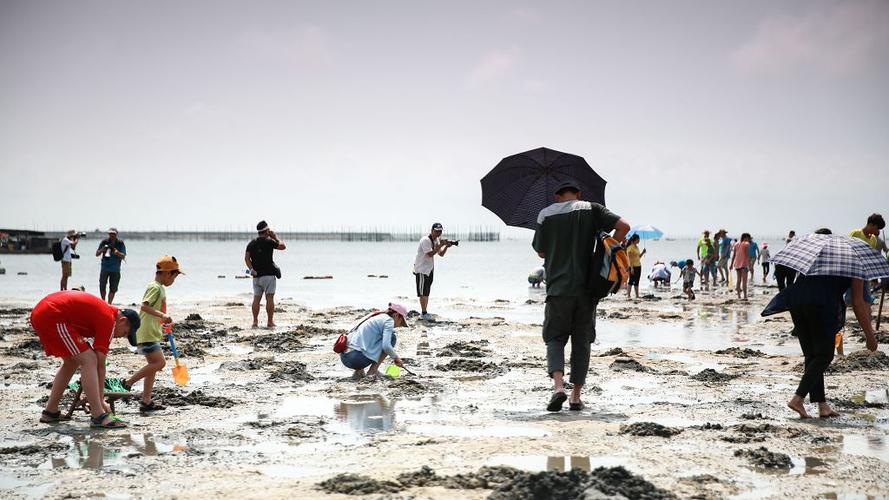北海银滩666赶海基地要门票吗?(北海银难收费吗)-图3 北海银滩666赶海基地要门票吗?(北海银难收费吗)-图3