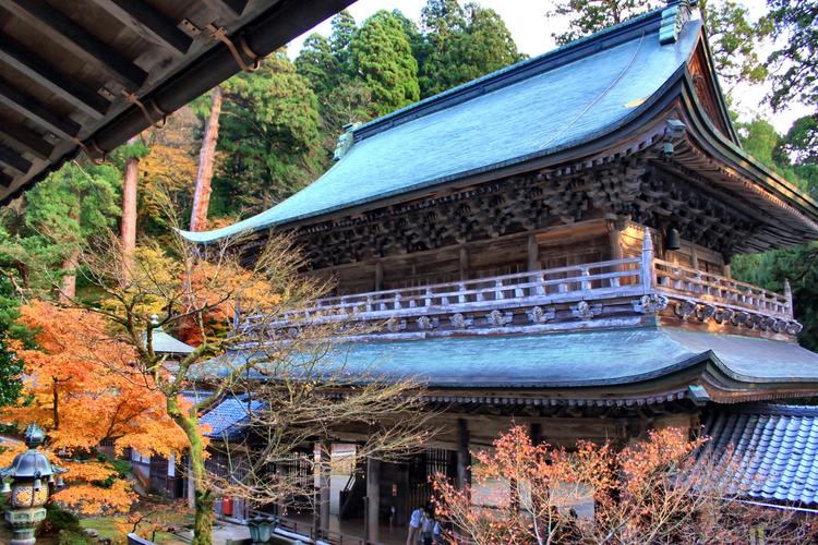 天堂寺值得一去吗?(京都寺庙收费)-图3 天堂寺值得一去吗?(京都寺庙收费)-图3