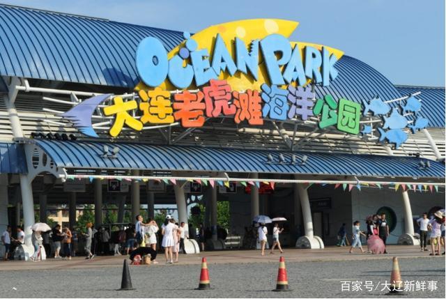 老虎滩是大连的哪个区?(老虎滩索道收费)-图2 老虎滩是大连的哪个区?(老虎滩索道收费)-图2