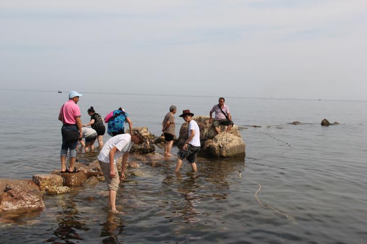 北戴河可以赶海捡海鲜的地方?(老龙头乐岛海滩收费)-图2 北戴河可以赶海捡海鲜的地方?(老龙头乐岛海滩收费)-图2