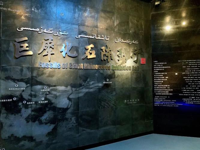 吐鲁番博物馆怎么样?(吐鲁番博物馆收费吗)-图2 吐鲁番博物馆怎么样?(吐鲁番博物馆收费吗)-图2