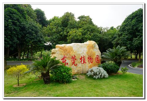 东莞植物园开放时间及门票?(东莞植物园是否收费)-图3 东莞植物园开放时间及门票?(东莞植物园是否收费)-图3