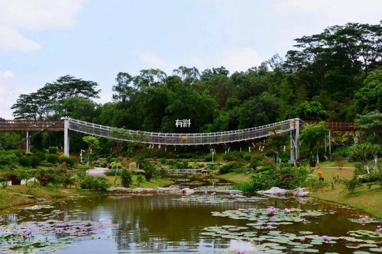 东莞植物园有玻璃桥吗?(东莞植物园是否收费吗)-图3 东莞植物园有玻璃桥吗?(东莞植物园是否收费吗)-图3