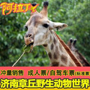 济南野生动物园停车攻略?(济南野生动物园停车收费)-图3 济南野生动物园停车攻略?(济南野生动物园停车收费)-图3