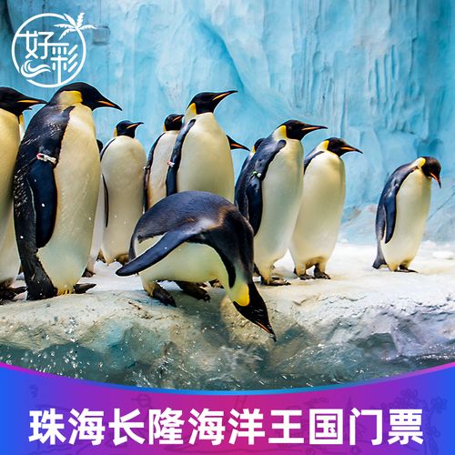 珠海长隆小孩多高免票?(珠海长隆海洋王儿童收费标准)-图2 珠海长隆小孩多高免票?(珠海长隆海洋王儿童收费标准)-图2