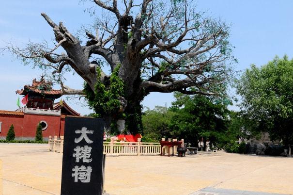 洪洞西站停车场怎么收费?(大槐树收费吗)-图2 洪洞西站停车场怎么收费?(大槐树收费吗)-图2