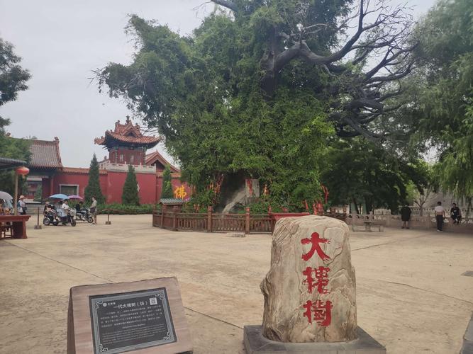 洪洞西站停车场怎么收费？(大槐树收费吗)