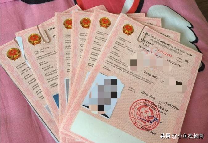 2023年到越南签证费是多少钱？(签证要收费么)