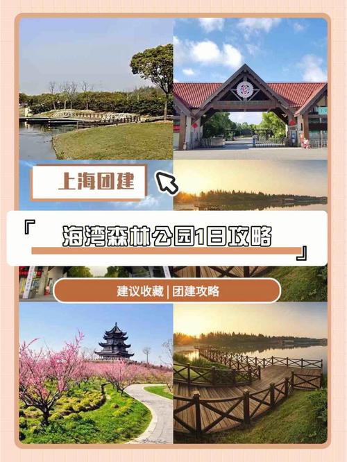 上海房车营地收费价格？(上海海湾国家森林公园收费吗)