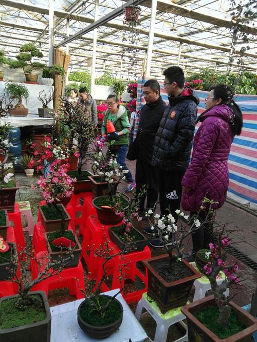 天津曹庄宠物市场和花卉市场是在一起吗？想买鸟，花卉市场有卖吗？(曹庄花卉市场停车收费)