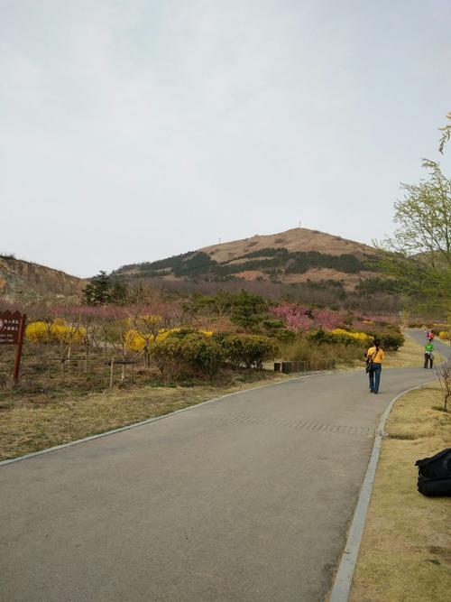 即墨马山2022开放吗?(马山公园收不收费)-图3 即墨马山2022开放吗?(马山公园收不收费)-图3