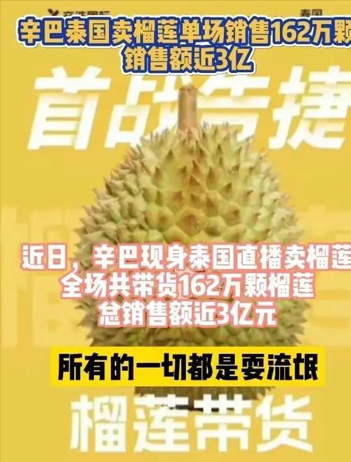 辛巴榴莲从哪里运回国？(越南包机 行李收费)