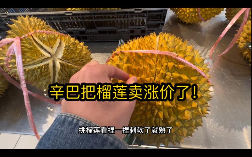 辛巴榴莲从哪里运回国?(越南包机 行李收费)-图3 辛巴榴莲从哪里运回国?(越南包机 行李收费)-图3