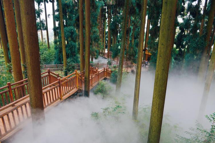 洪雅哪里最好耍？(七里坪养生禅道收费吗)-图3