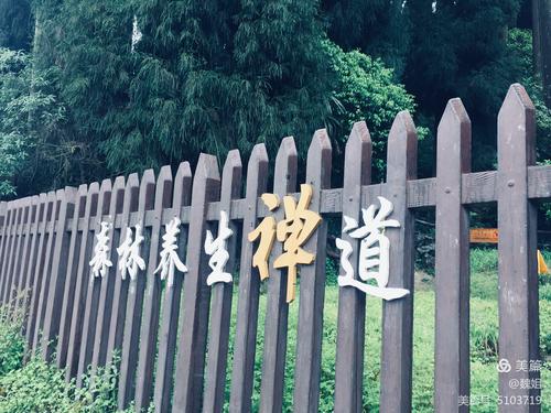 洪雅哪里最好耍？(七里坪养生禅道收费吗)-图2