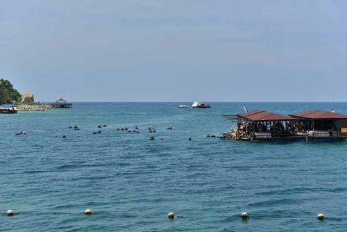 天涯海角附近旅游景点?(天涯海角潜水收费)-图3 天涯海角附近旅游景点?(天涯海角潜水收费)-图3