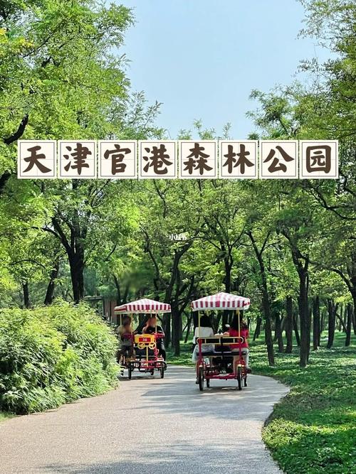 天津森林公园哪个好？(天津市森林公园收费吗)