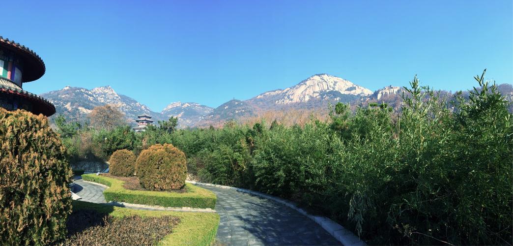 新泰莲花山停车场收费多少？(九峰森林公园还收费吗)