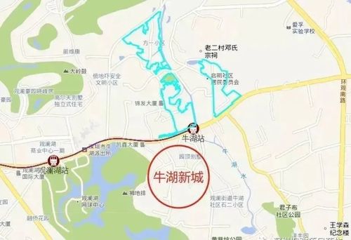 观兰牛湖到大朗水平村坐什么车最快?(牛湖收费站到观澜)-图2 观兰牛湖到大朗水平村坐什么车最快?(牛湖收费站到观澜)-图2