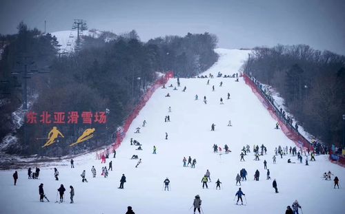 沈阳附近哪个滑雪场好玩?(东北亚儿童滑雪收费吗)-图2 沈阳附近哪个滑雪场好玩?(东北亚儿童滑雪收费吗)-图2