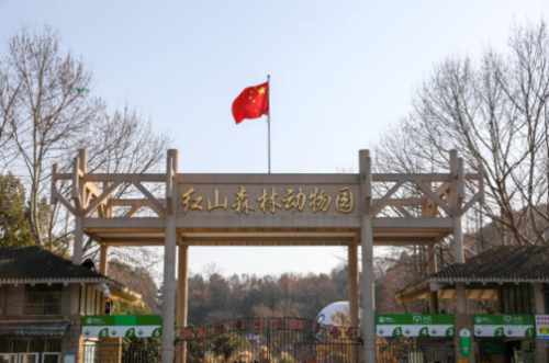 红山动物园有学生票吗?(南京红山森林动物园园内收费)-图2 红山动物园有学生票吗?(南京红山森林动物园园内收费)-图2