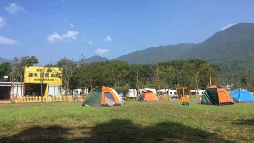 黄陂月亮湖露营收费吗？(房车露营公园收费贵吗)-图3