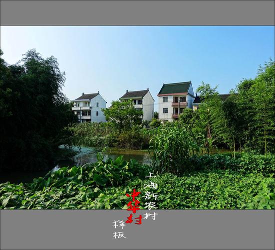 上海十大美丽乡村？(上海华亭人家收费)