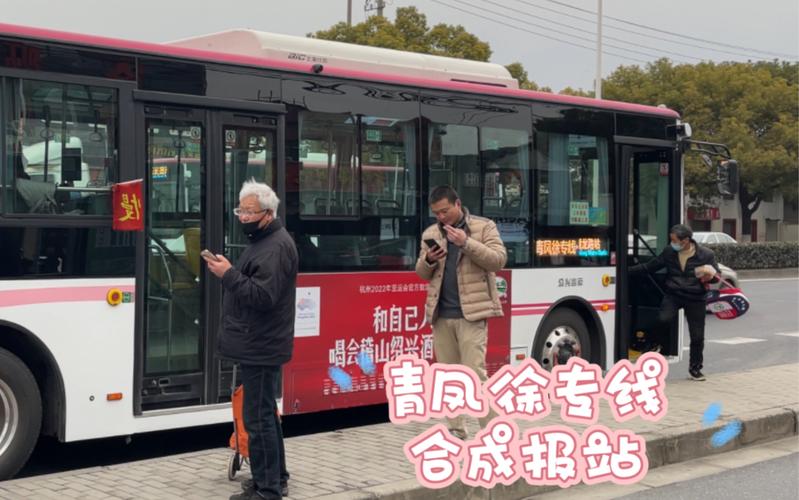 青浦到嘉定黄渡镇怎么走?(青凤徐专线 怎么收费)-图2 青浦到嘉定黄渡镇怎么走?(青凤徐专线 怎么收费)-图2
