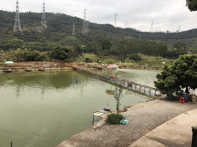 珠海十大野钓圣地？(珠海钓鱼场怎么收费吗)