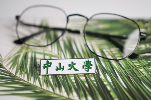 深圳中山大学对外开放吗?(参观中山大学要收费吗)-图3 深圳中山大学对外开放吗?(参观中山大学要收费吗)-图3