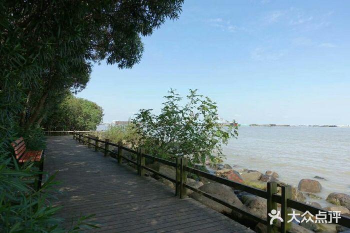 吴淞湿地公园开放时间?(吴淞炮台湾湿地森林公园停车收费)-图3 吴淞湿地公园开放时间?(吴淞炮台湾湿地森林公园停车收费)-图3