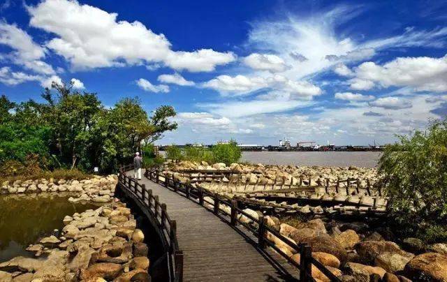 吴淞湿地公园开放时间?(吴淞炮台湾湿地森林公园停车收费)-图2 吴淞湿地公园开放时间?(吴淞炮台湾湿地森林公园停车收费)-图2