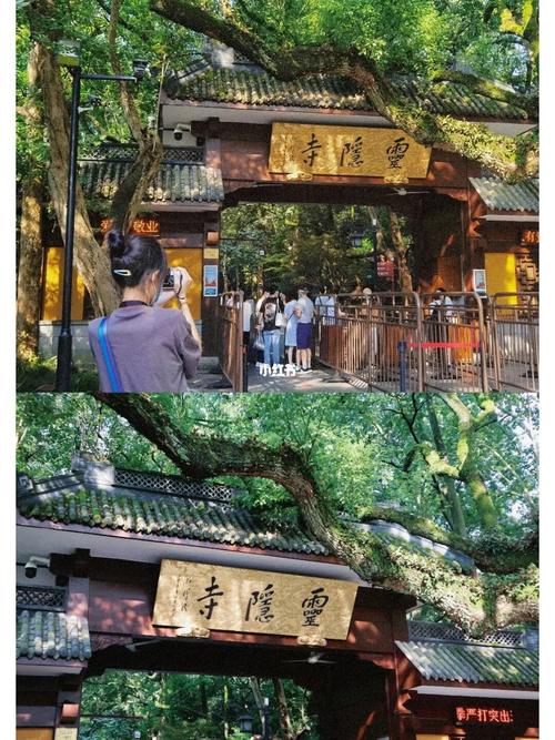 灵隐寺免门票怎么预约?(杭州灵隐飞来峰收费吗)-图2 灵隐寺免门票怎么预约?(杭州灵隐飞来峰收费吗)-图2