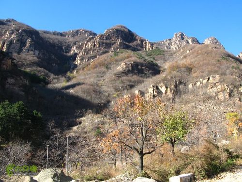 平谷梨树沟游玩攻略？(北京平谷周边不收费的景点)