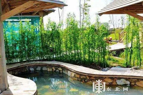 大庆林甸温泉好么从哈尔滨怎么去?(齐齐哈尔到林甸高速收费多少钱)-图3 大庆林甸温泉好么从哈尔滨怎么去?(齐齐哈尔到林甸高速收费多少钱)-图3