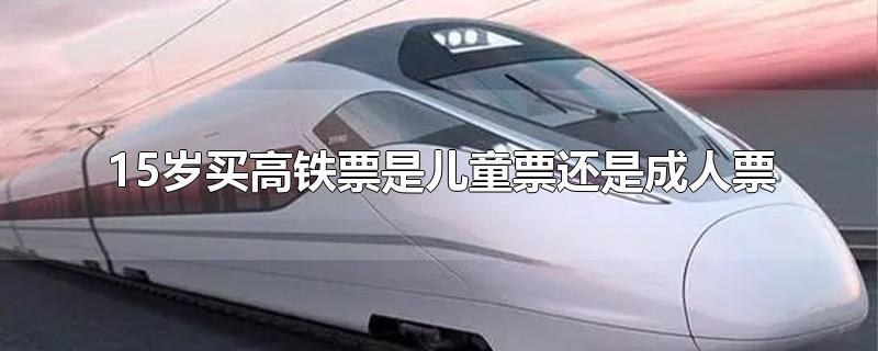 500票价的高铁儿童票是多少?(小孩 高铁要收费标准)-图2 500票价的高铁儿童票是多少?(小孩 高铁要收费标准)-图2