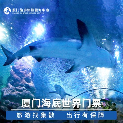 鼓浪屿海底世界需要提前购票吗?(厦门海底世界收费)-图2 鼓浪屿海底世界需要提前购票吗?(厦门海底世界收费)-图2