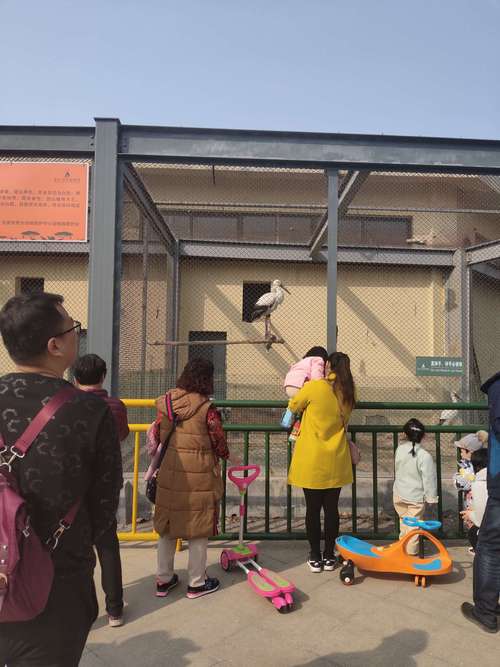 东营市动物园开放时间?(东营动物园收费项目)-图3 东营市动物园开放时间?(东营动物园收费项目)-图3