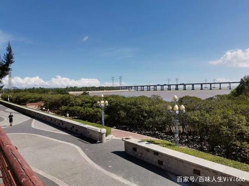 西湾红树林停车场能过夜吗？(深圳红树林停车怎么么收费标准)